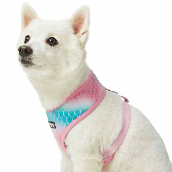 Mermaid Scales | Enchanting Sea Dog Harness Vest