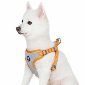 Apricot | Better Basics Reflective Dog Harness Vest