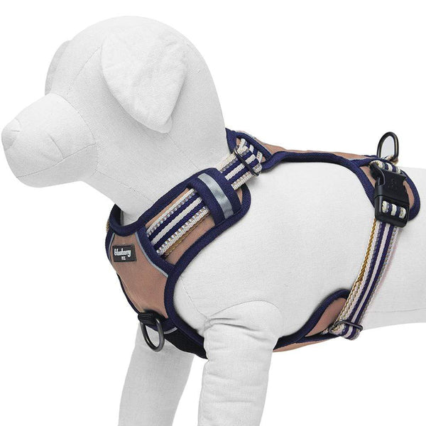 Dog Harness Olive & Blue Gray 3M Multi Colored