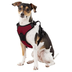 Oklahoma Sooners Front Clip Harness