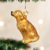 Old World Christmas - Sitting Golden Ornament