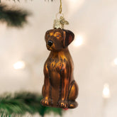 Old World Christmas - Chocolate Lab Sitting Ornament