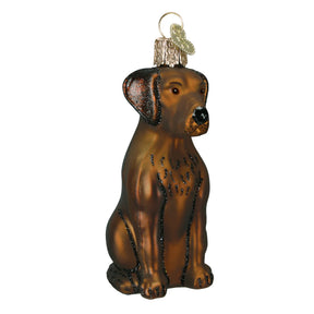 Old World Christmas - Chocolate Lab Sitting Ornament