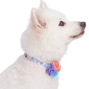 Lavender | Made Well Floral Dog Collar