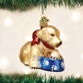 Old World Christmas - Labrador Pup Ornament