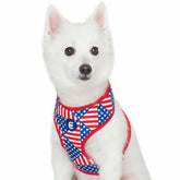 American Flag Dog Harness Vest