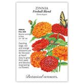 Zinnia Fireball Blend Seeds