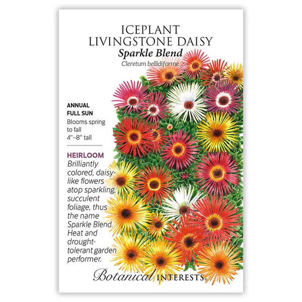 Iceplant/Livingstone Daisy Sparkle