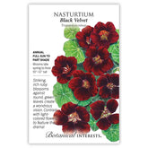 Nasturtium Black Velvet Seeds