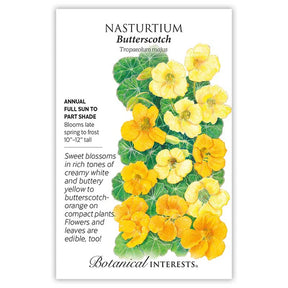 Nasturtium Butterscotch Seeds