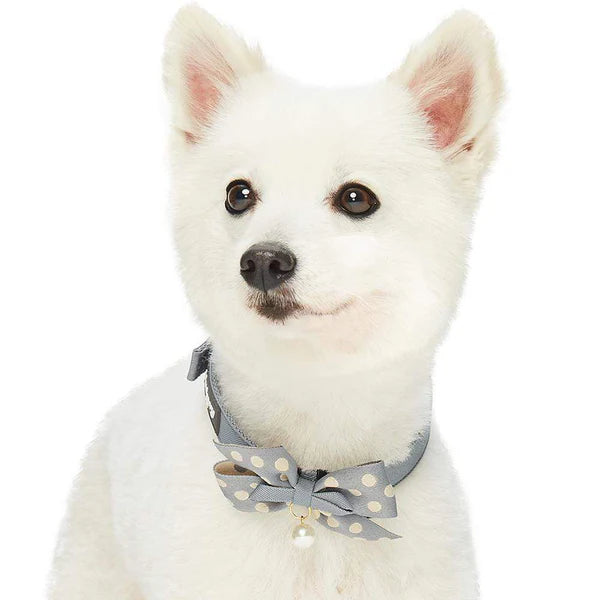 Gray | The Most Coveted Dog Collar with Bowtie & Pearl