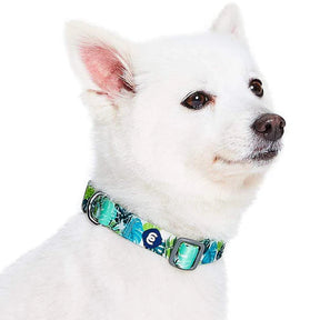 Bahamas Vacation Palm Leaves Dog Collar