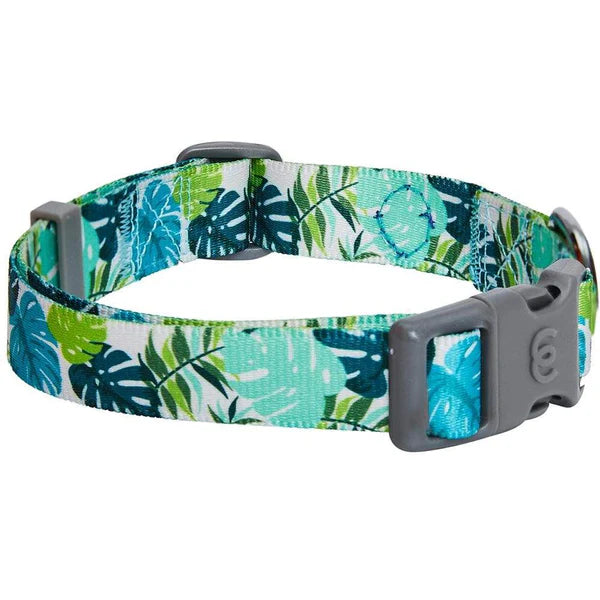 Bahamas Vacation Palm Leaves Dog Collar