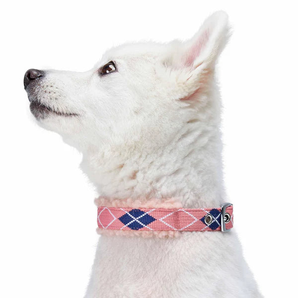 Pink Scottish Argyle | Sherpa Fleece Padded Dog Collar