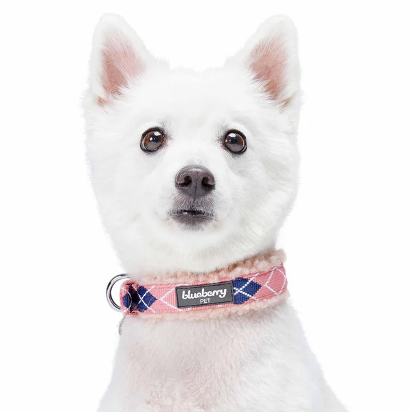 Pink Scottish Argyle | Sherpa Fleece Padded Dog Collar