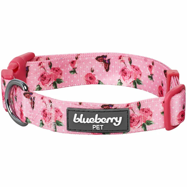 Butterfly and Rose Petal | Paws Floral Dog Collar