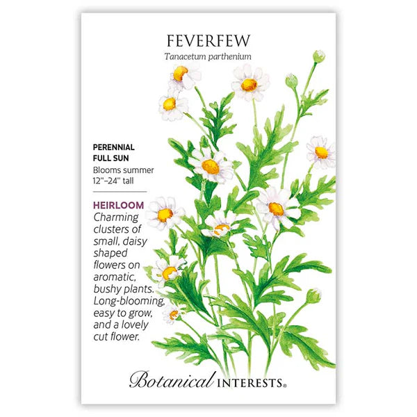 Feverfew Organic Seeds