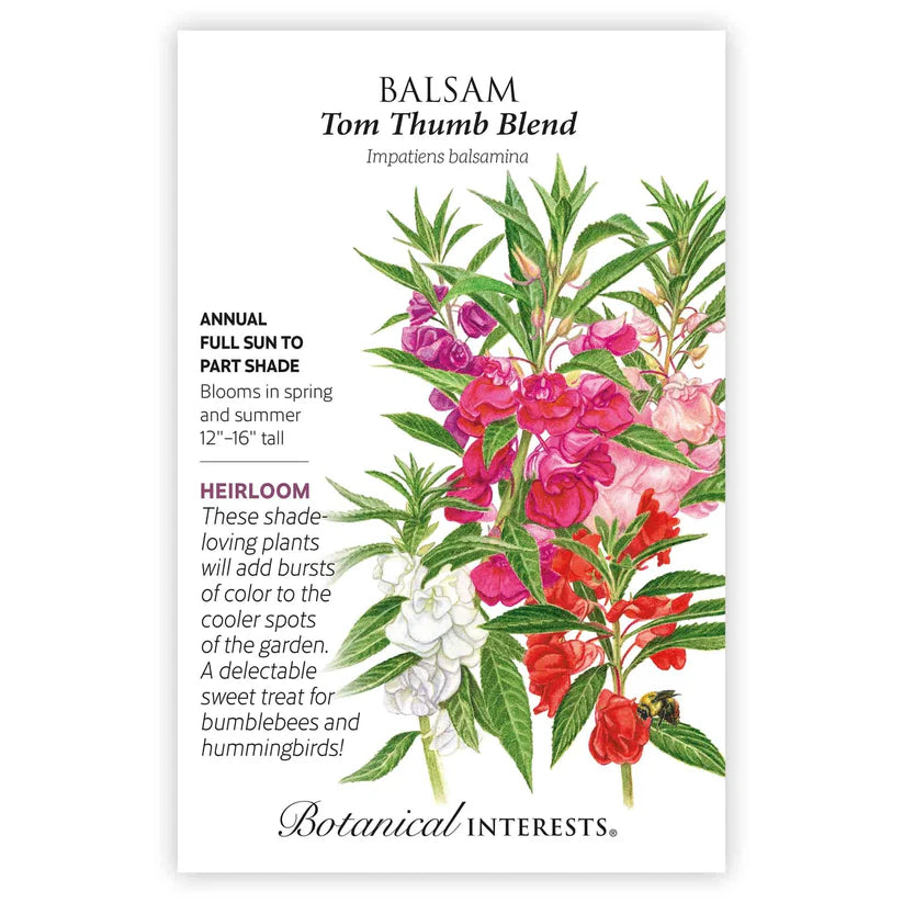 Tom Thumb Blend Balsam Seeds