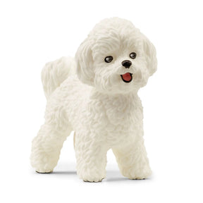 Schleich - Bichon Frise