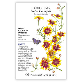 Coreopsis Plains Coreopsis Seeds