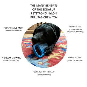 Soda Can Pull Tab Power Chewer Dog Toy