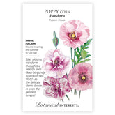 Poppy Corn Pandora Seeds