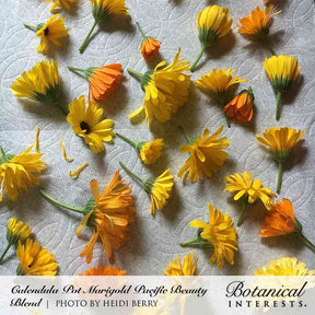 Calendula Resina Organic Seeds