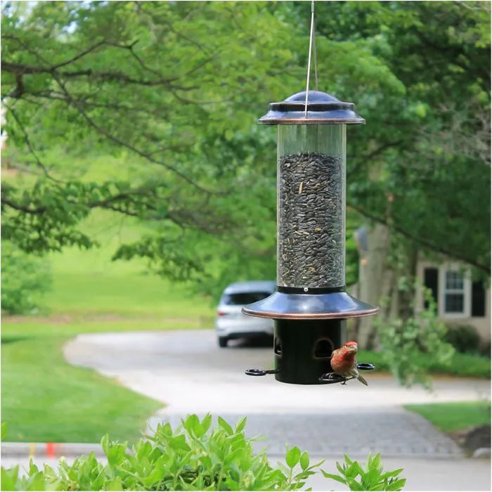 More Birds - Squirrel-X MX5 Resistant Bird Feeder