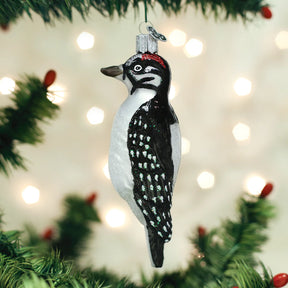 Old World Christmas - Hairy Woodpecker Ornament