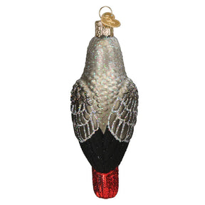 Old World Christmas - African Grey Parrot Ornament