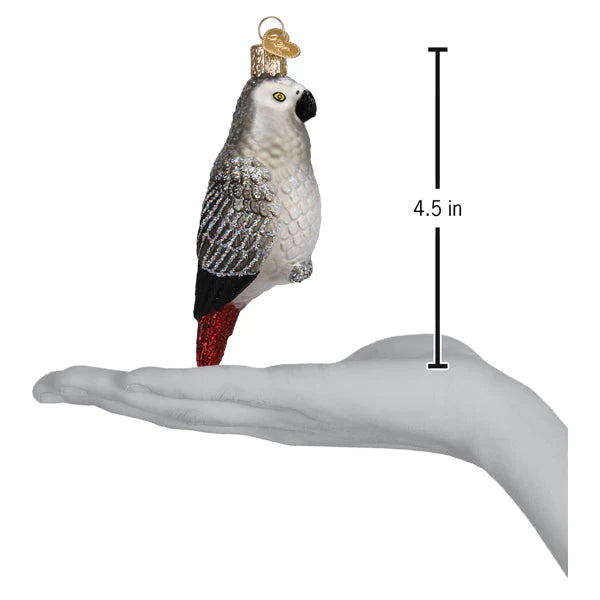 Old World Christmas - African Grey Parrot Ornament