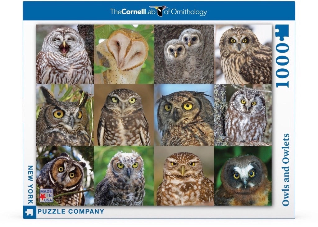 New York Puzzle Co. - Owls and Owlets