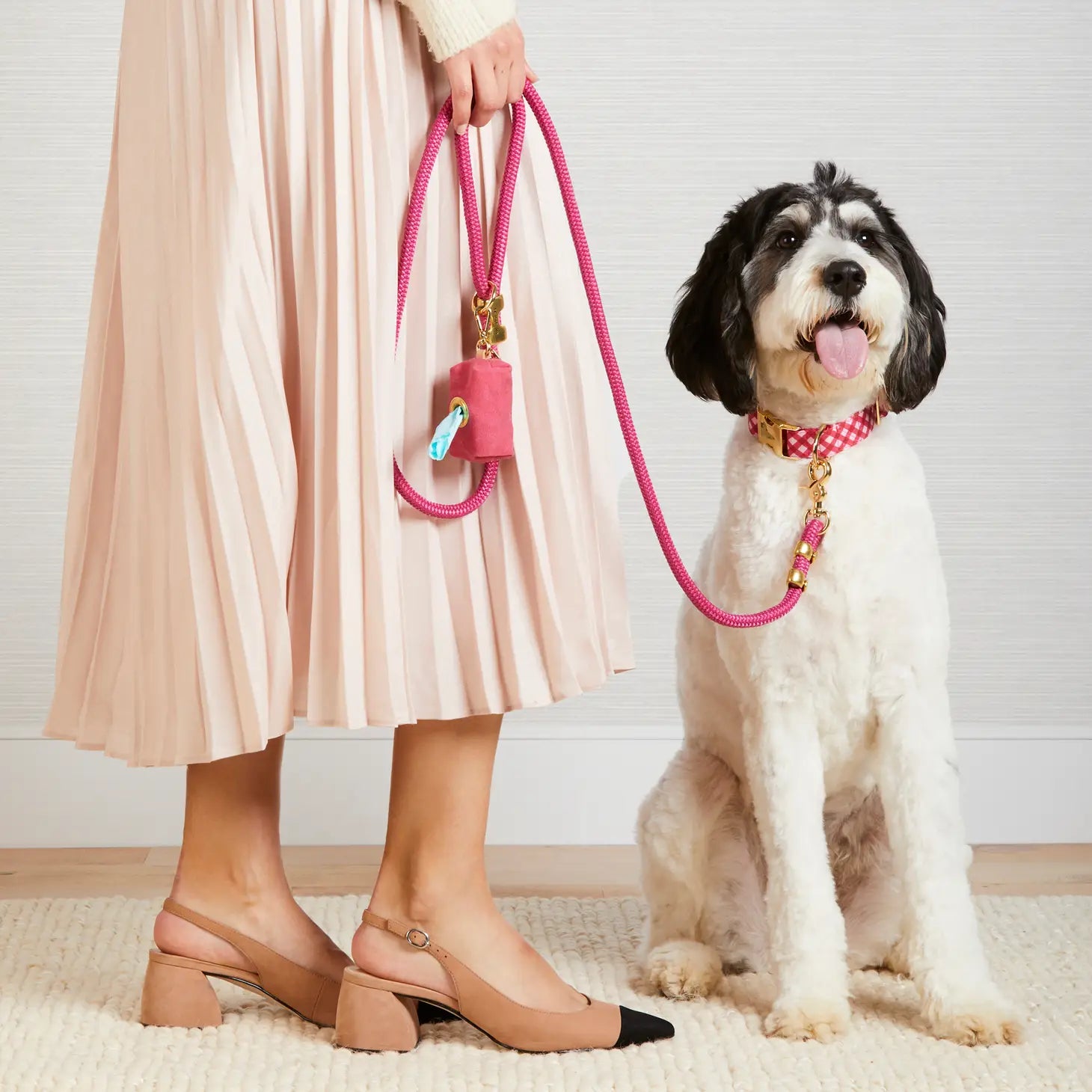 Raspberry Gingham Valentine's Day Dog Collar