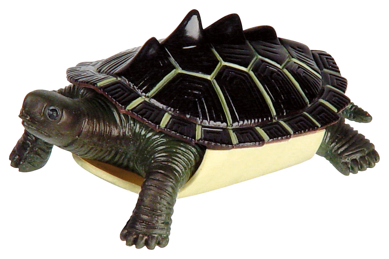 Turtle Squishanimals