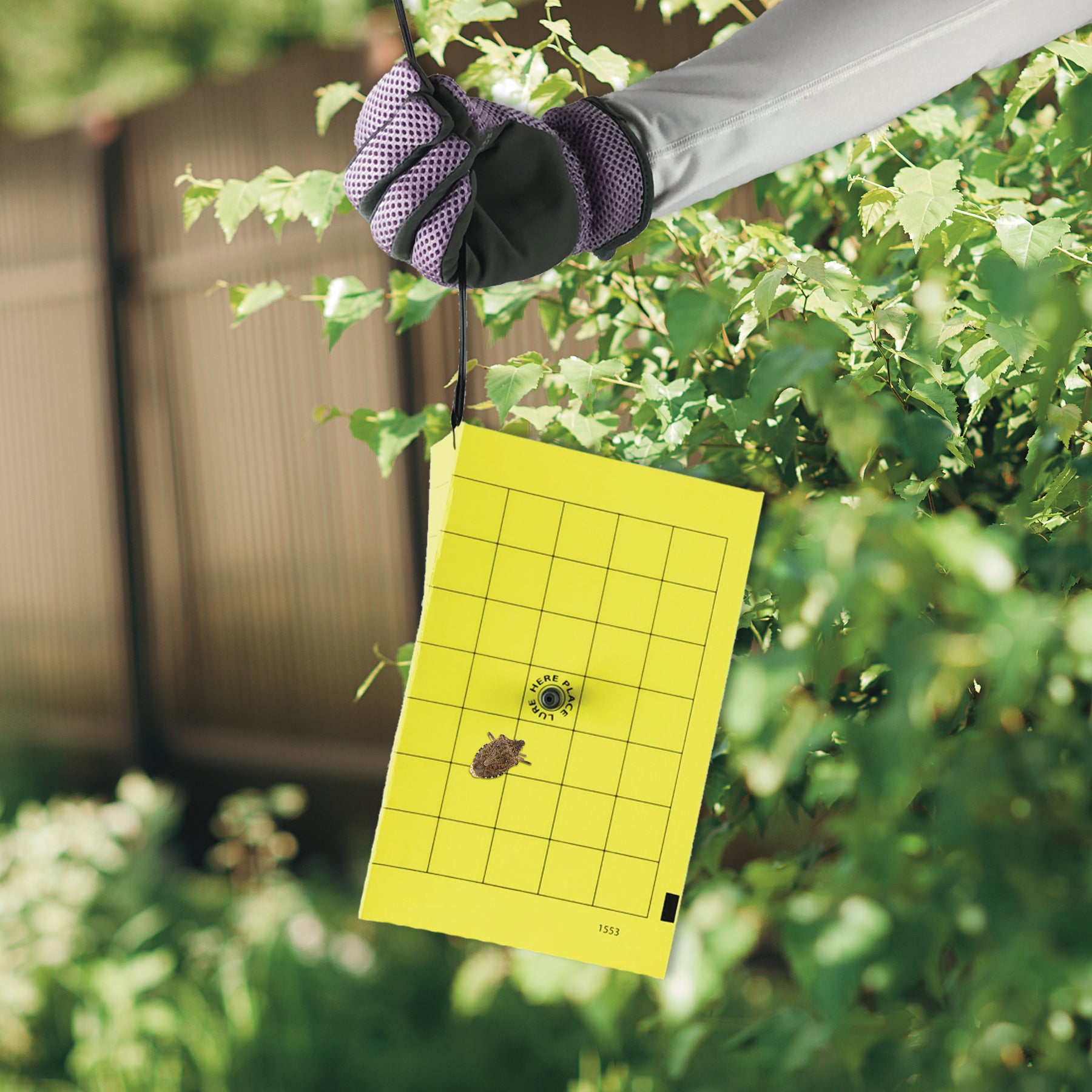 Bug Beater Stink Bug Trap