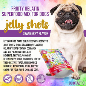 DogTastic Jelly Shots Gelatin Mix for Dogs