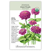 Zinnia Giant Purple Organic Seeds