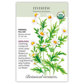 Feverfew Organic Seeds