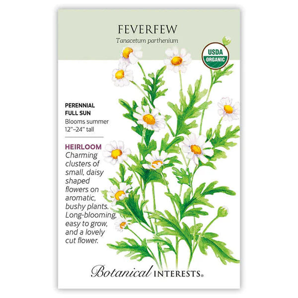 Feverfew Organic Seeds