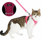 Reflective Cat Harness & Leash Set with Bell