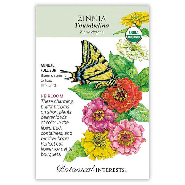 Zinnia Thumbelina Seeds