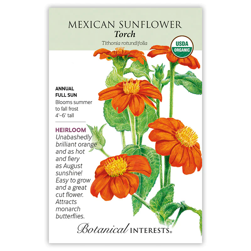 Sunflower Mexican Torch Organic Seeds