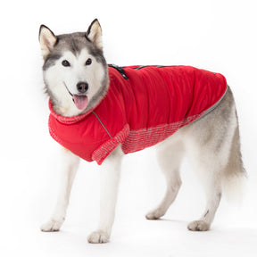 Dogo Pet - Coat Runner Red