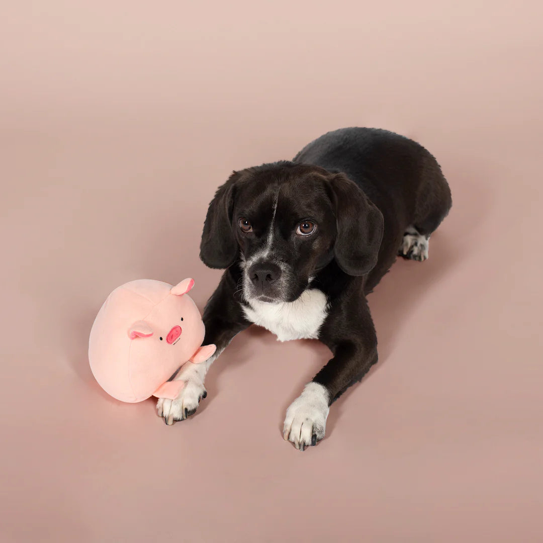 Petshop by Fringe Studio - Pig Dog Toy