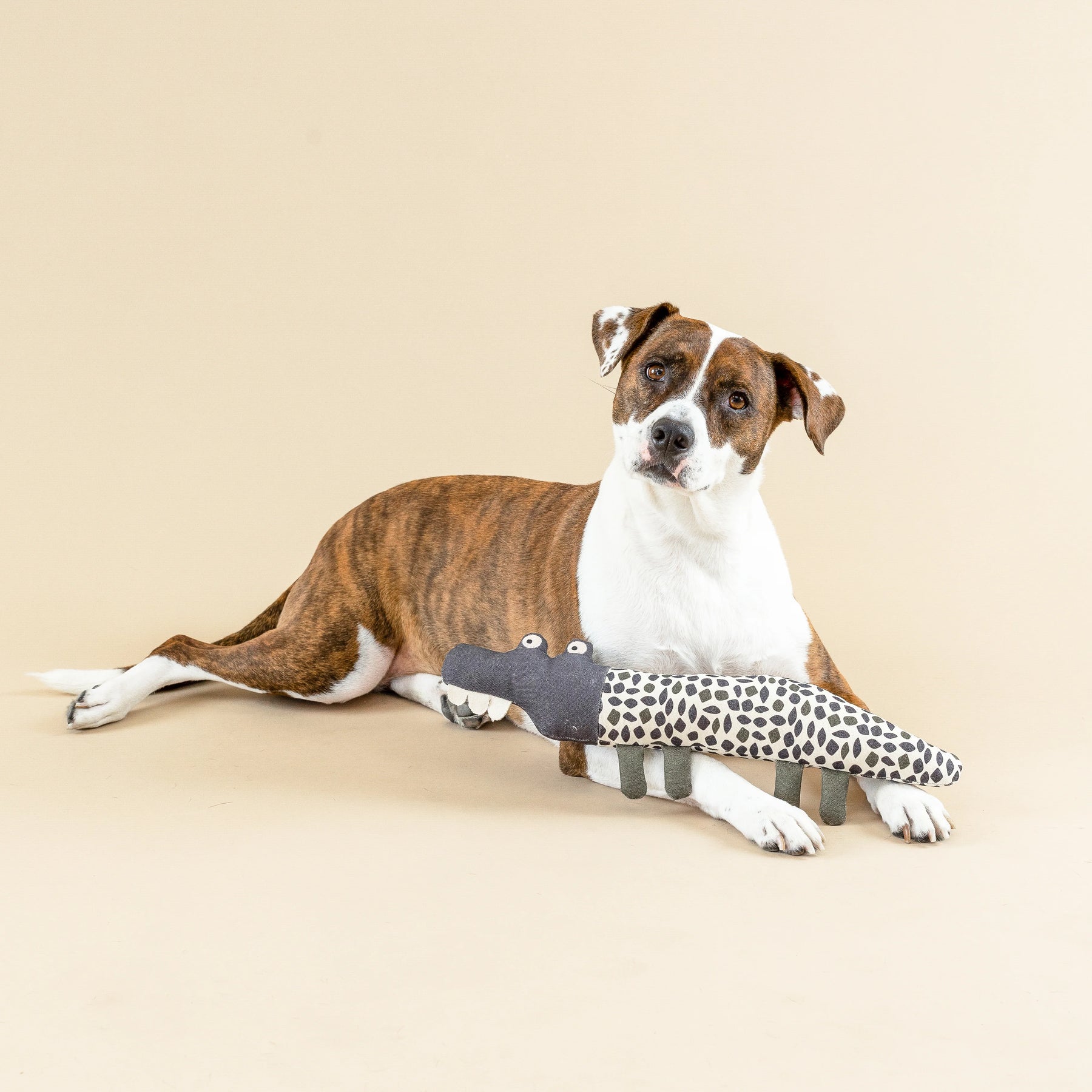 Petshop by Fringe Studio - Dog Toy Croc My World