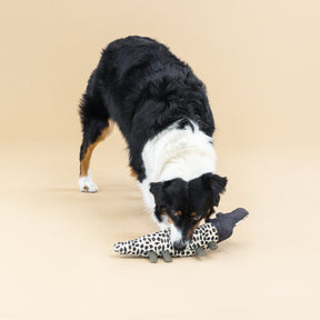 Petshop by Fringe Studio - Dog Toy Croc My World