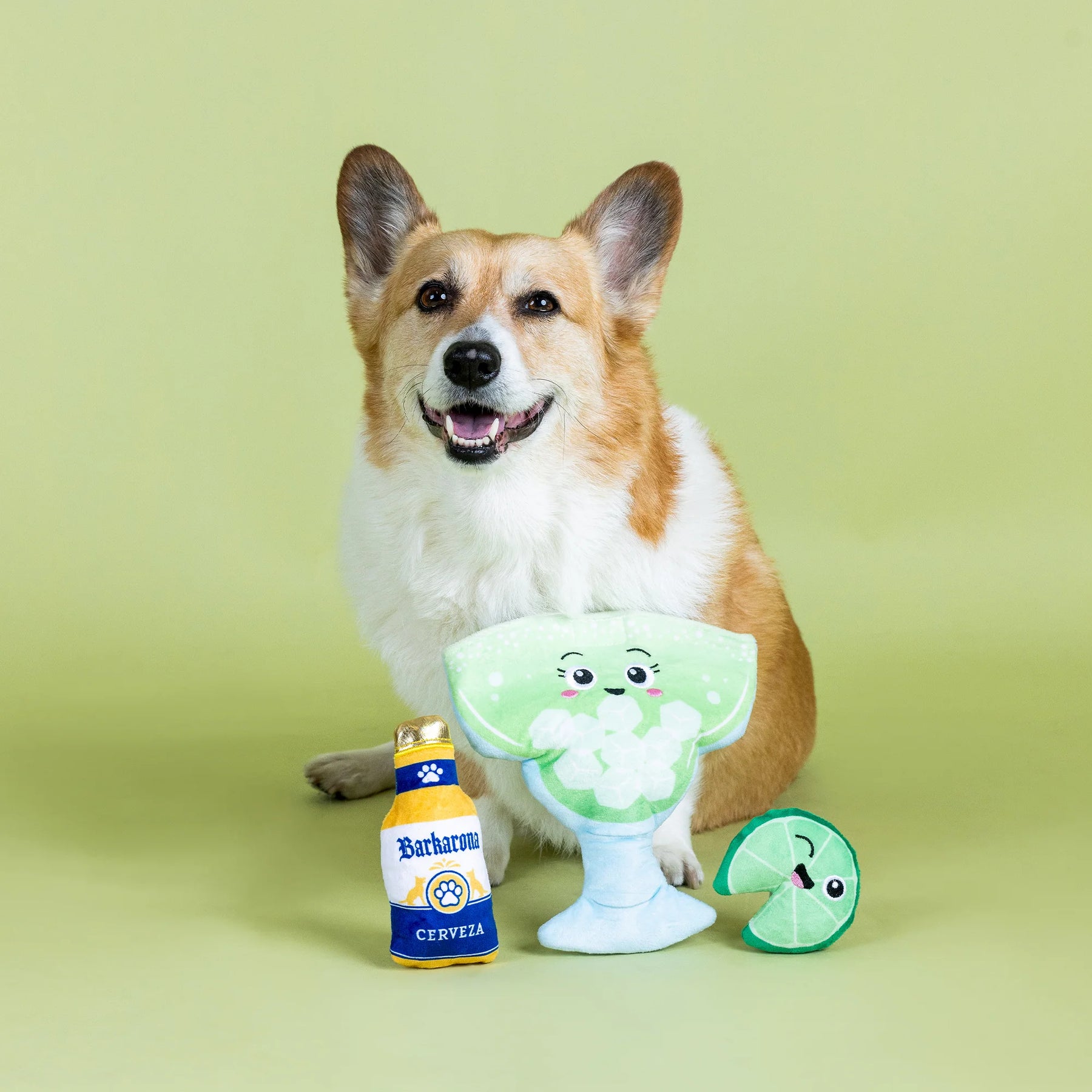 Petshop by Fringe Studio - Dog Toy Drop Me a Lime Hide & Seek