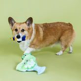 Petshop by Fringe Studio - Dog Toy Drop Me a Lime Hide & Seek