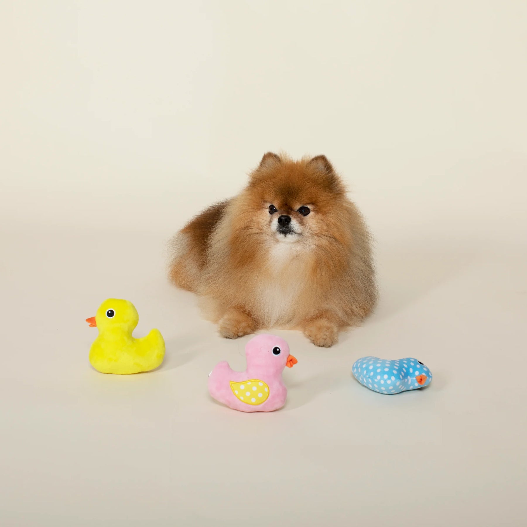 Petshop by Fringe Studio - Dog Toy Rubber Ducky Set 3 Piece Set