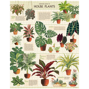 Cavallini & Co. - Puzzle House Plants